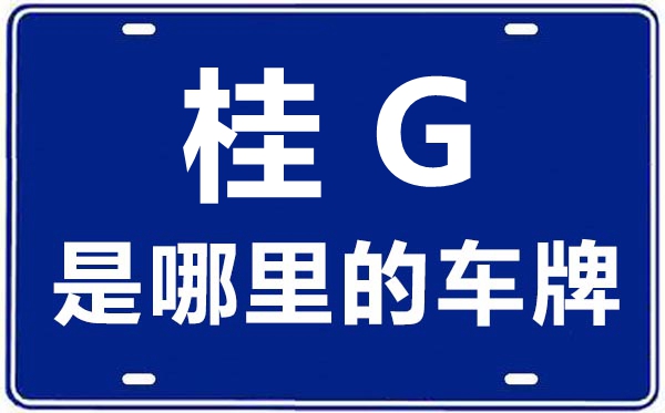 桂G是哪里的車牌號,來賓的車牌號是桂什么