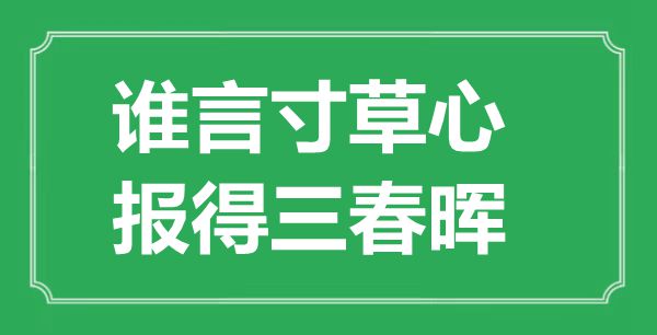 “誰(shuí)言寸草心，報(bào)得三春暉”是什么意思,出處是哪里