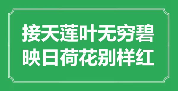 ““接天蓮葉無窮碧，映日荷花別樣紅”是什么意思_出處是哪里