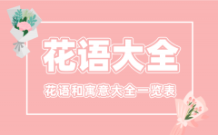 花語(yǔ)大全_各種花的花語(yǔ)和寓意大