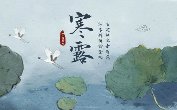 寒露節(jié)氣的含義是什么,寒露節(jié)氣的特點(diǎn)和風(fēng)俗簡(jiǎn)介