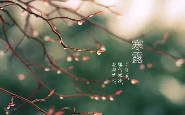 寒露節(jié)氣的含義是什么,寒露節(jié)氣的特點(diǎn)和風(fēng)俗簡(jiǎn)介