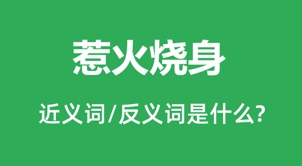 惹火燒身的近義詞和反義詞是什么,惹火燒身是什么意思