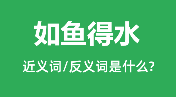 如魚(yú)得水的近義詞和反義詞是什么,如魚(yú)得水是什么意思