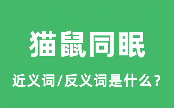 貓鼠同眠的近義詞和反義詞是什么,貓鼠同眠是什么意思