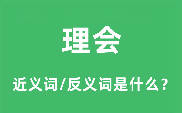 理會的近義詞和反義詞是什么,理會是什么意思