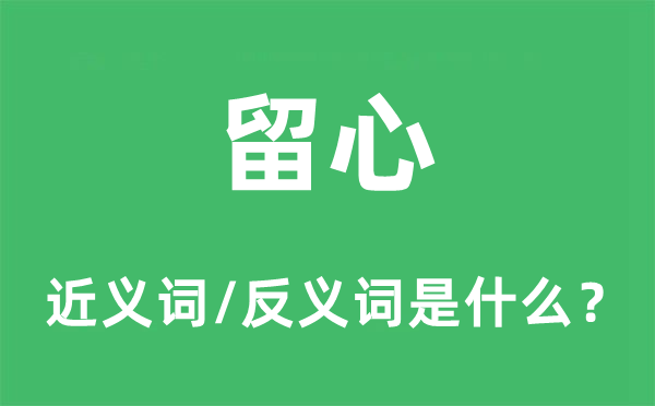 留心的近義詞和反義詞是什么,留心是什么意思