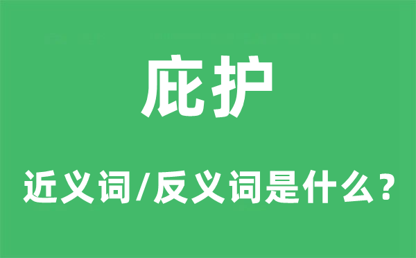 庇護的近義詞和反義詞是什么,庇護是什么意思