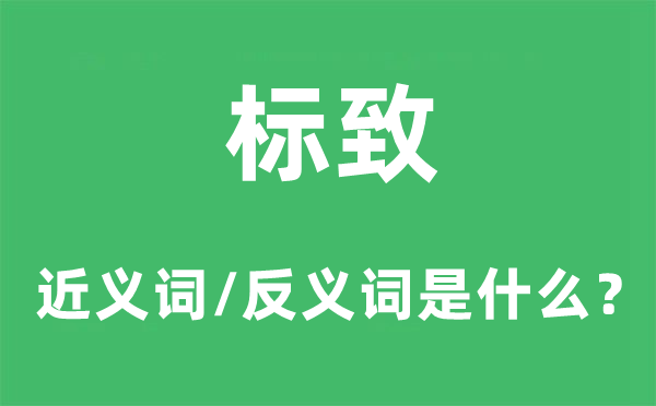標致的近義詞和反義詞是什么,標致是什么意思