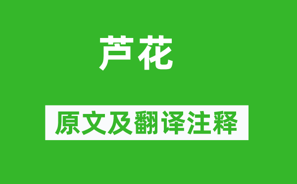 雍裕之《蘆花》原文及翻譯注釋,詩(shī)意解釋