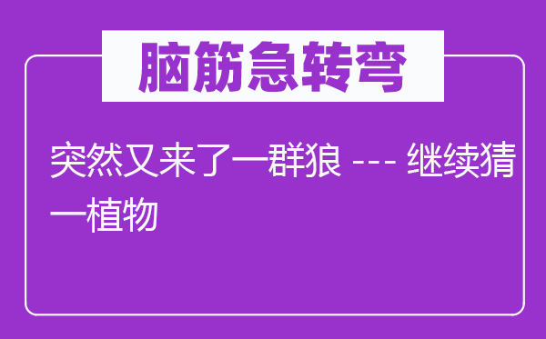 腦筋急轉(zhuǎn)彎：突然又來了一群狼---繼續(xù)猜一植物