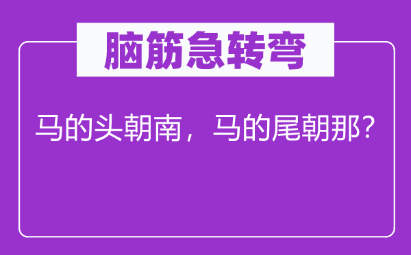 腦筋急轉(zhuǎn)彎：馬的頭朝南，馬的尾朝那？