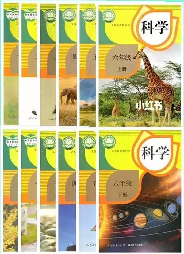 全套人教鄂教版小學科學電子課本教材大全（PDF電子版）