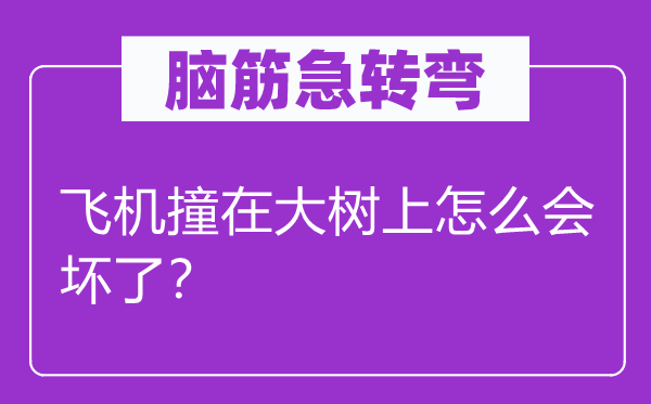 腦筋急轉彎：飛機撞在大樹上怎么會壞了？