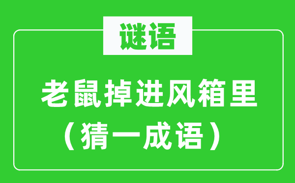 謎語：老鼠掉進(jìn)風(fēng)箱里（猜一成語）
