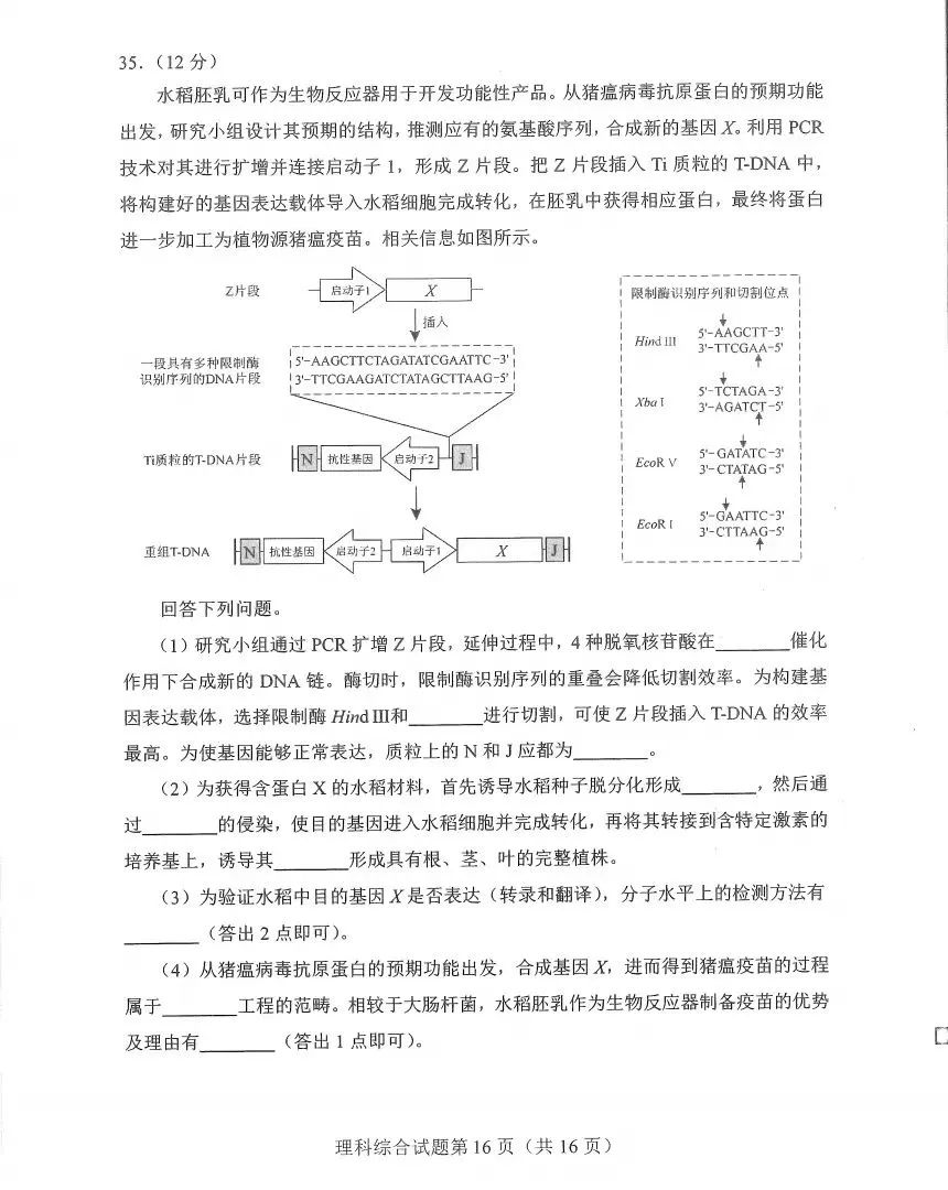 新高考2024九省聯考河南理綜試卷及答案解析