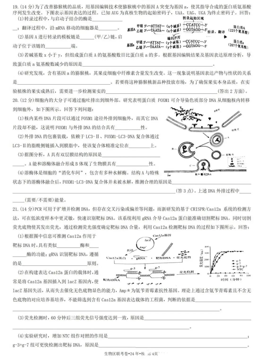新高考2024七省聯考生物試卷及答案解析