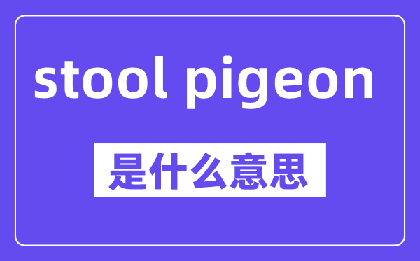 stool pigeon是什么意思,中文翻譯是什么