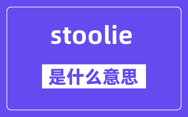 stoolie是什么意思,stoolie怎么讀,中文翻譯是什么