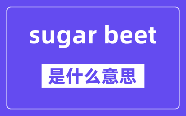sugar beet是什么意思,中文翻譯是什么